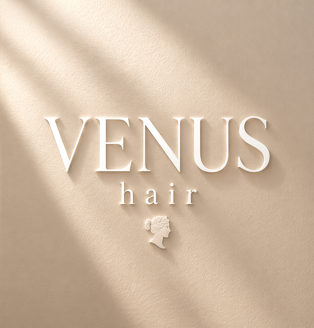Logo VENUS HAIR